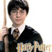 Sulle Orme di Harry Potter